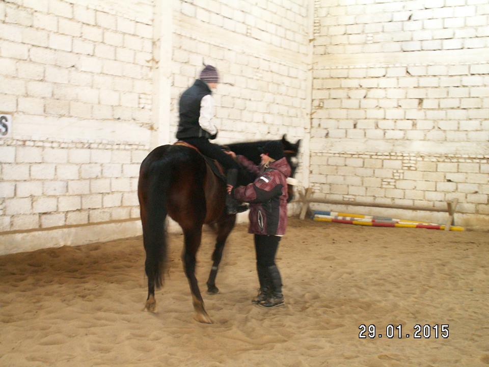 Jezdecký klub FOR-HORSES foto 2