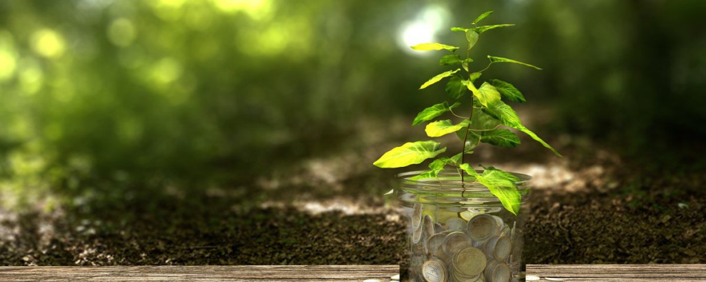 Libuše Novotná foto 4