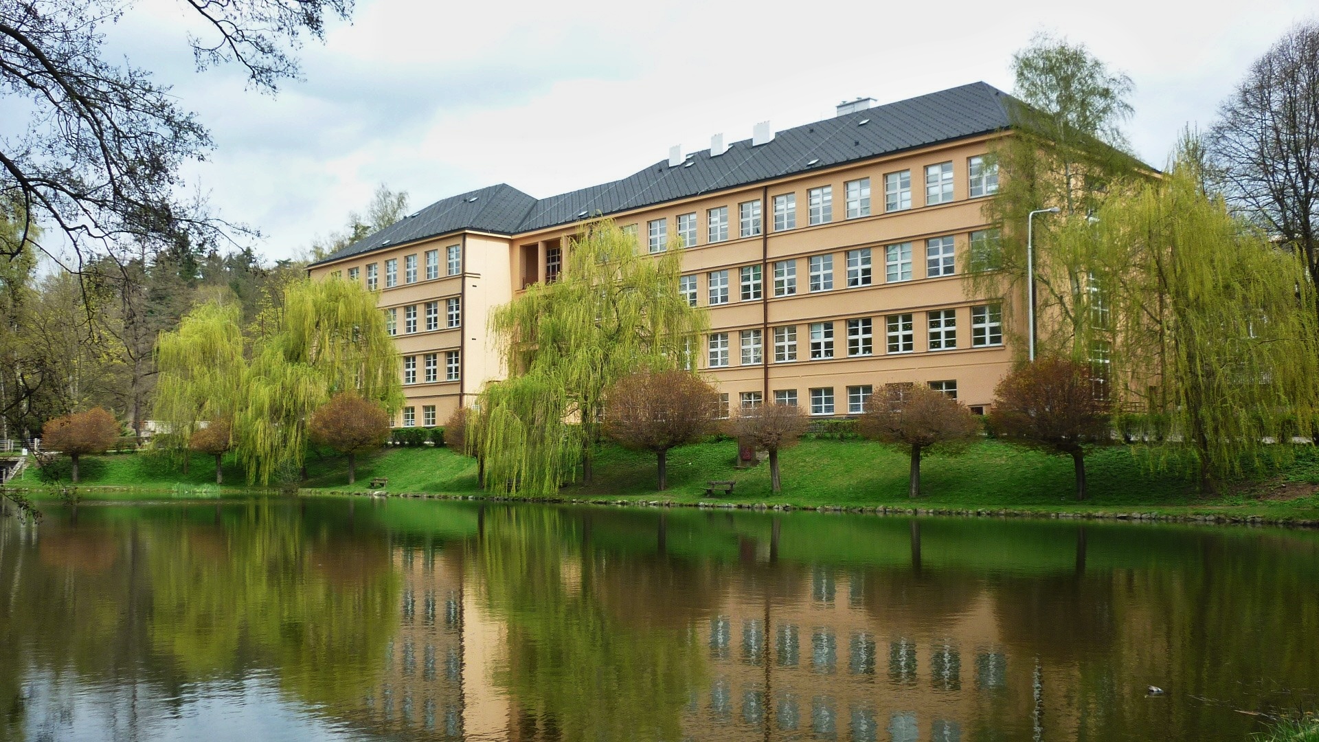 Základní škola Havlíčkův Brod, V Sadech 560 foto 3