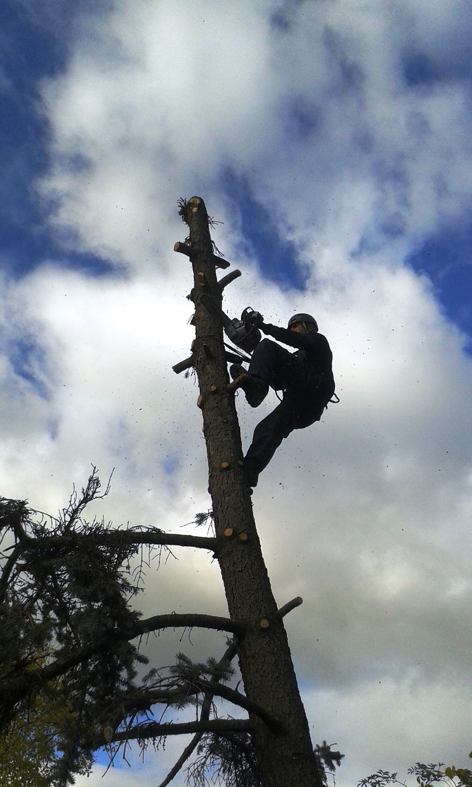 Dřevo a zem - Ing. Pavel Hlaváč foto 3
