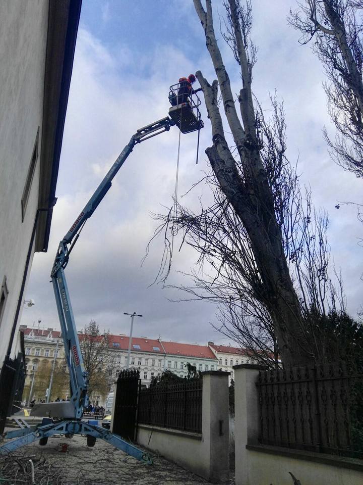 Lukáš Konopiský - Rikastr.cz foto 6