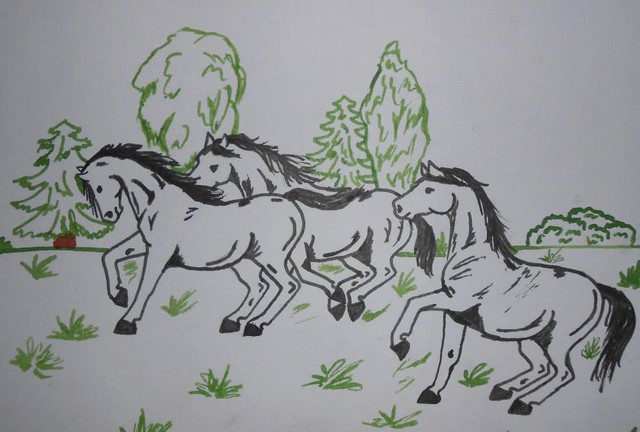 ZUŠ Moravská Třebová foto 4