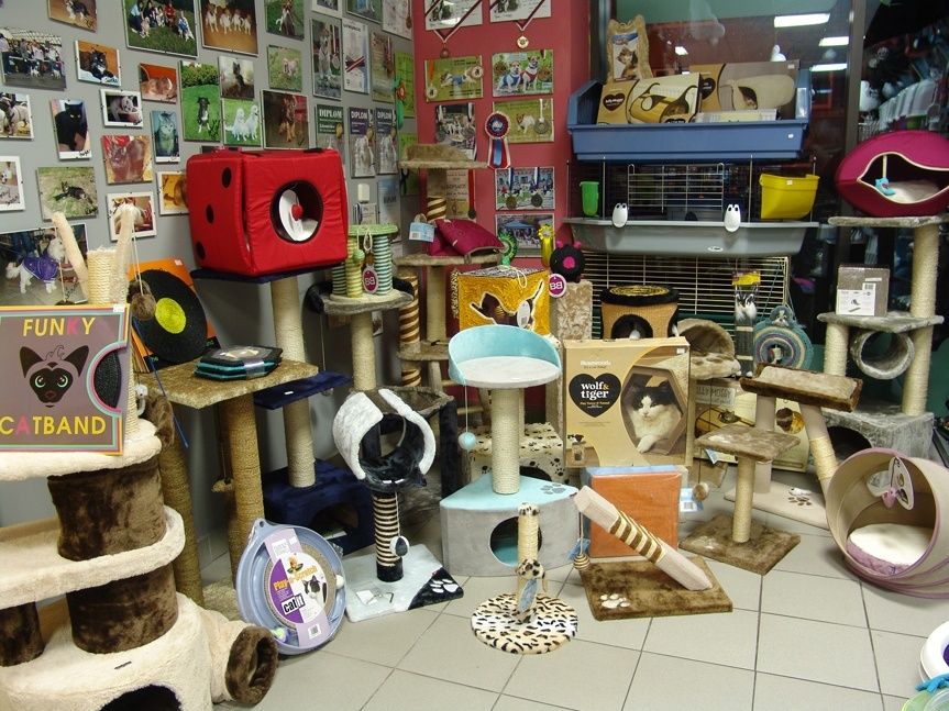 HafHaf shop foto 3