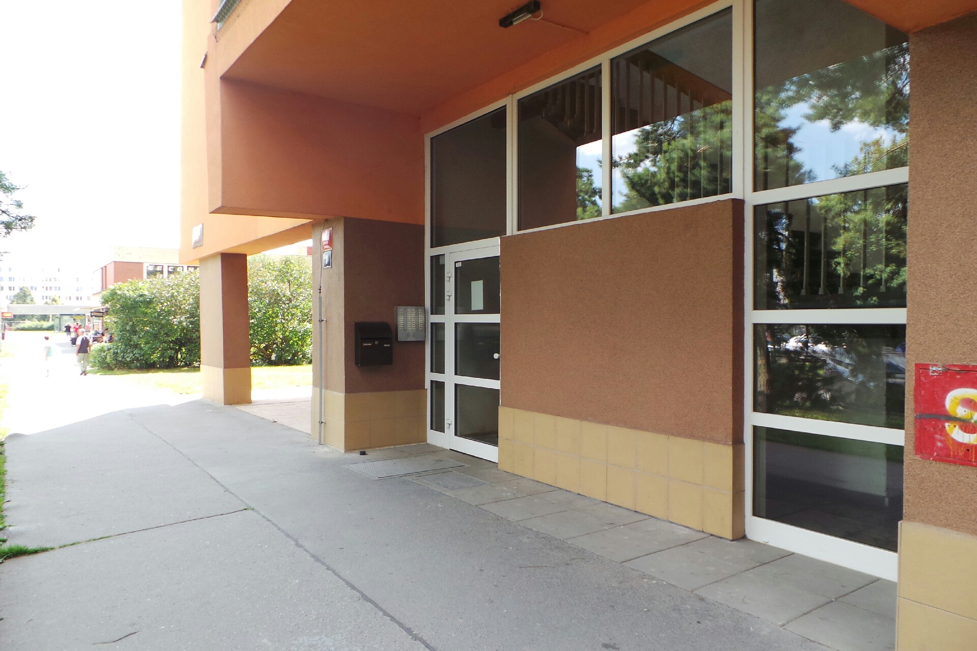 Alena Salamonová - Freya webdesign