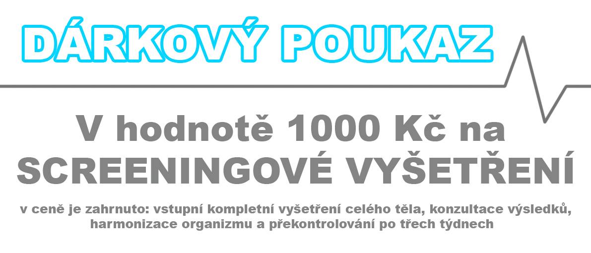David Přibyl - Zdravé tělo foto 3