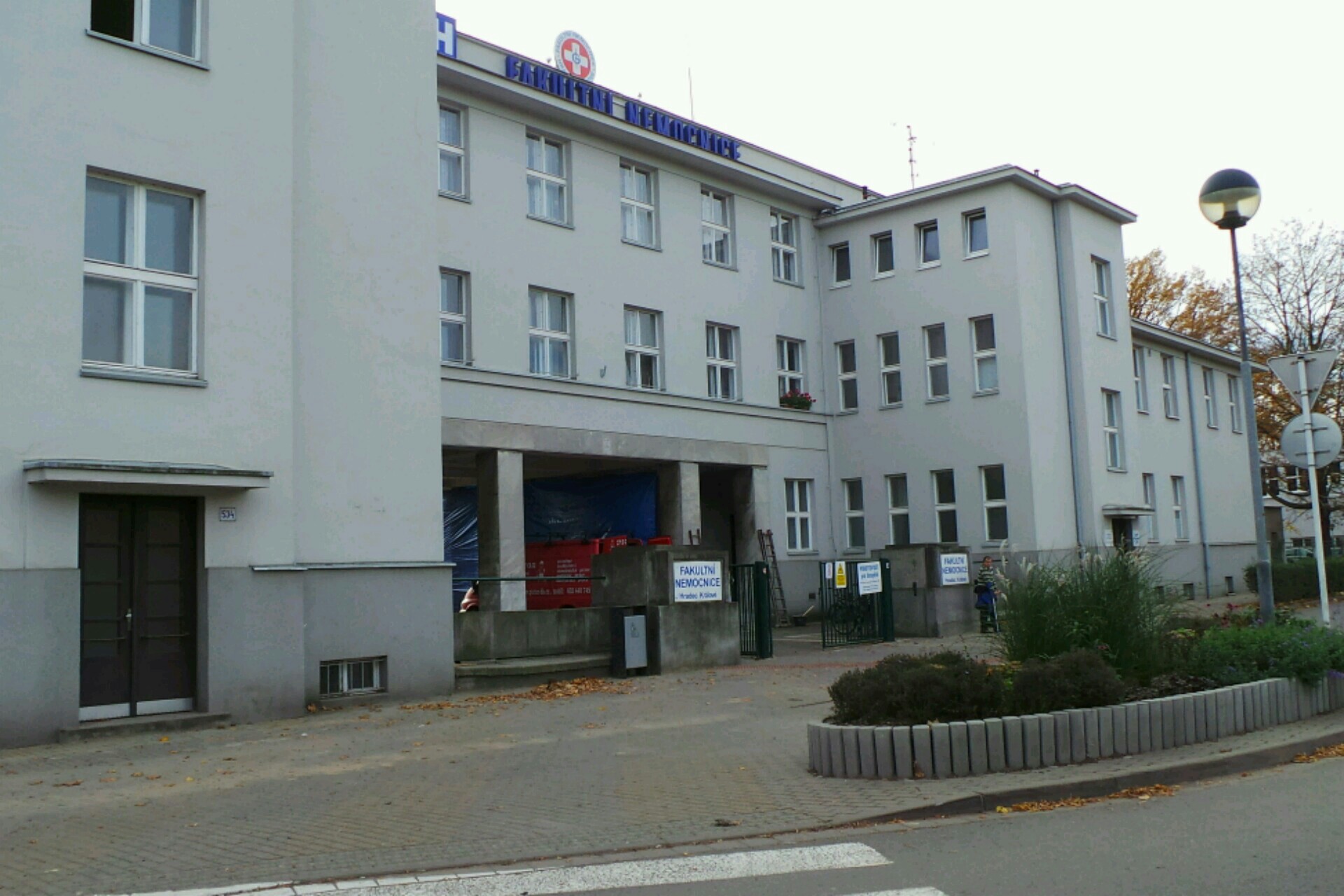 Znalec v oboru zdravotnictví - Ivana Dvořáčková