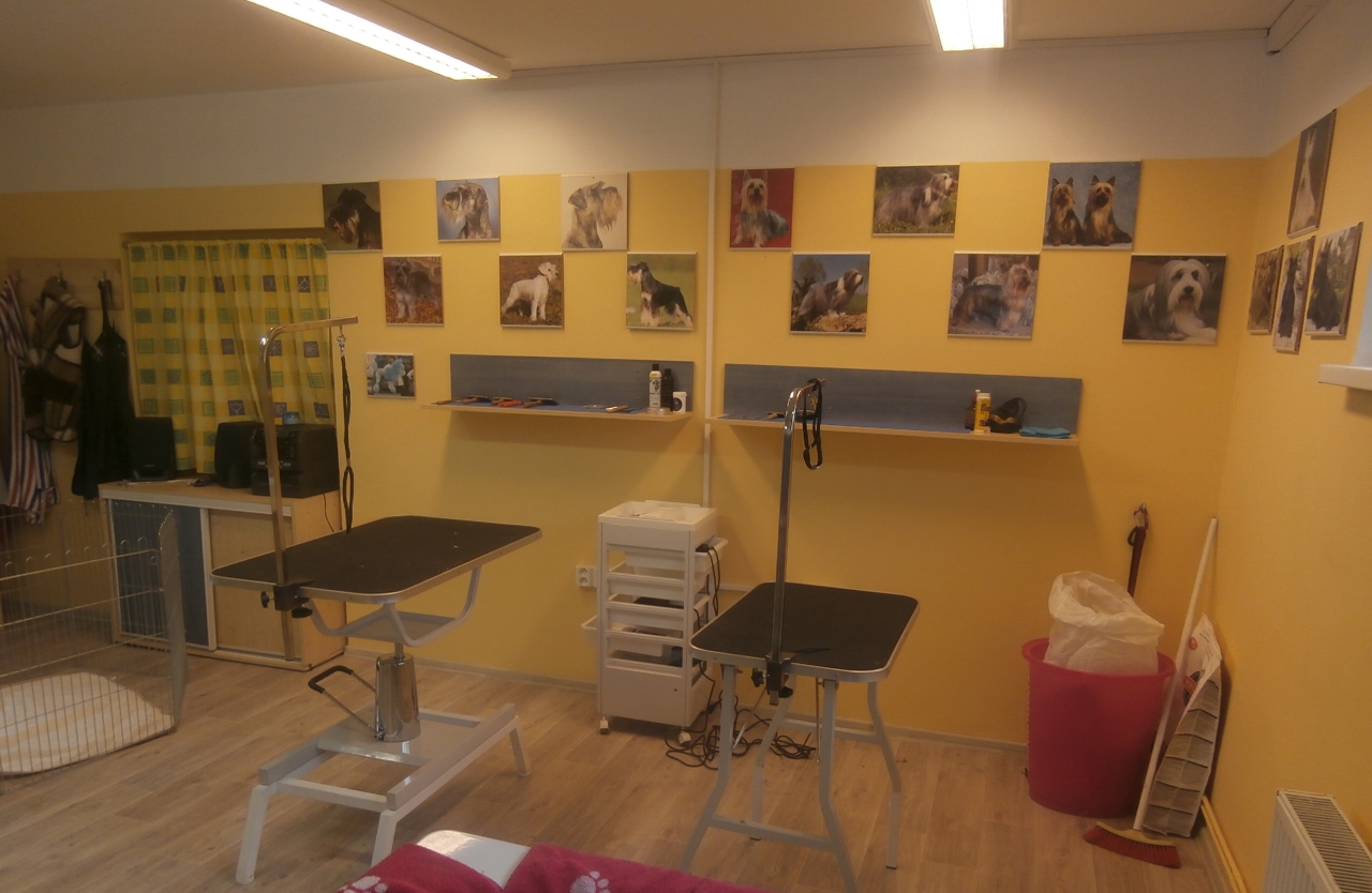 Salón pro psy - Lenka Vodičková foto 2