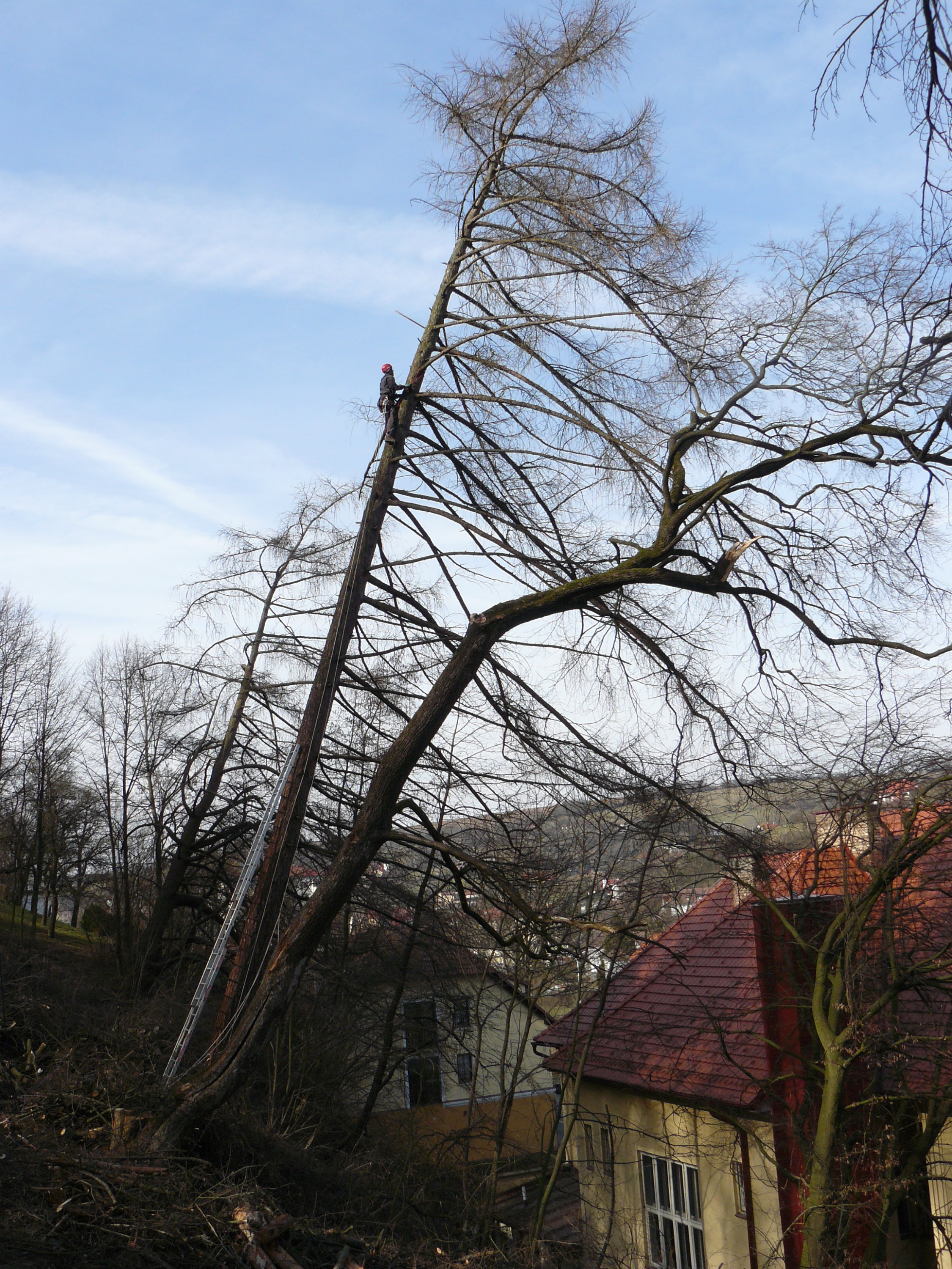 Výškové a tesařské práce - Jakub Huňka foto 2