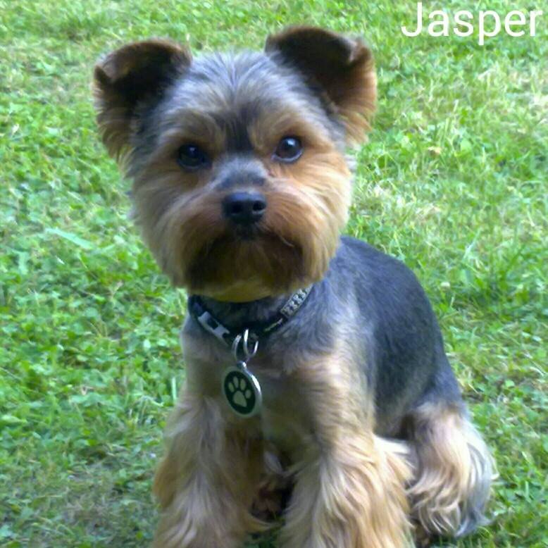 Jasper salón foto 4