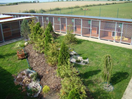 Psí škola CONICA - hotel pro psy foto 3