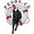 logo PESOS o.p.s.