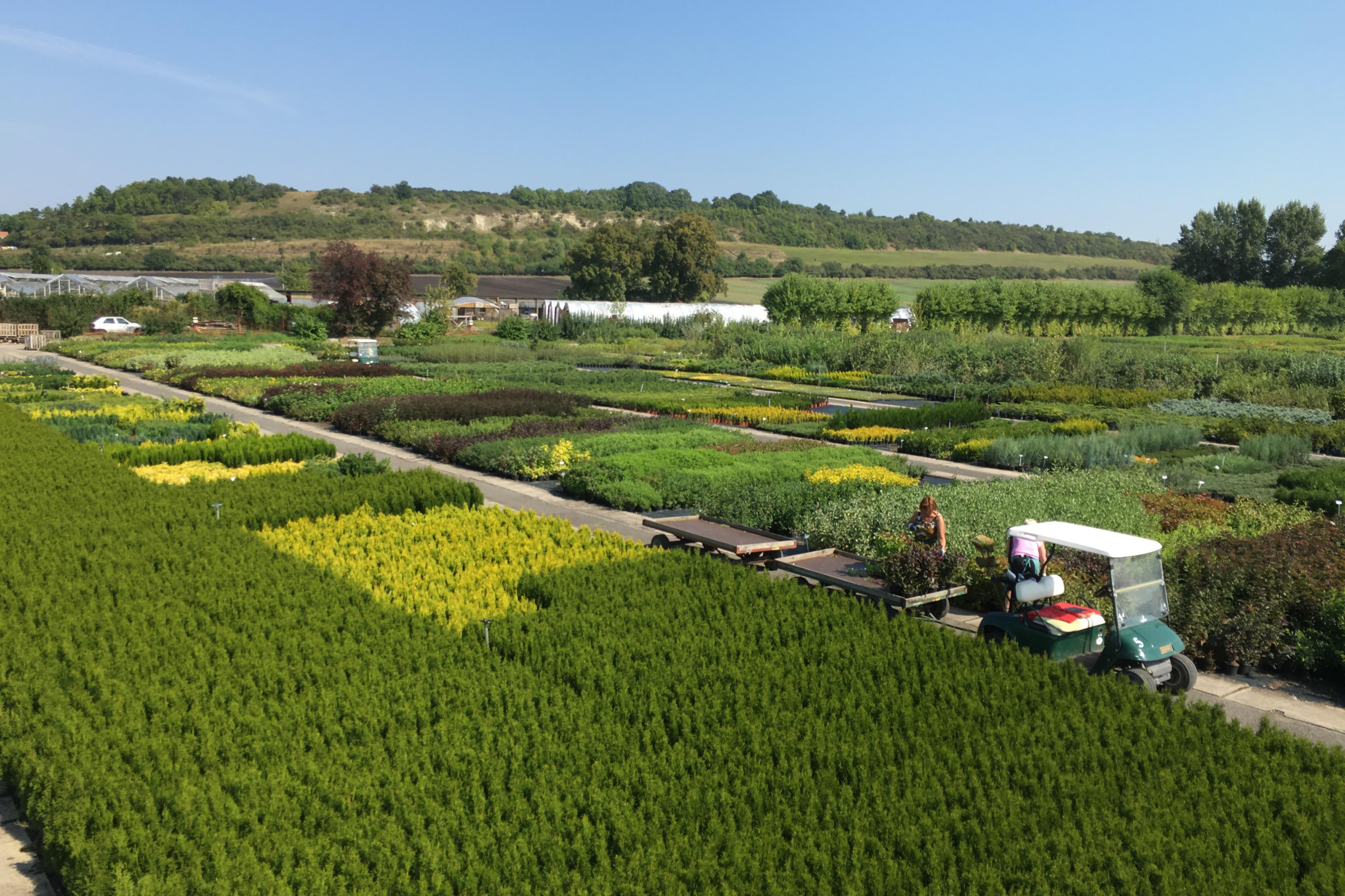 Školky Montano - velkoobchod