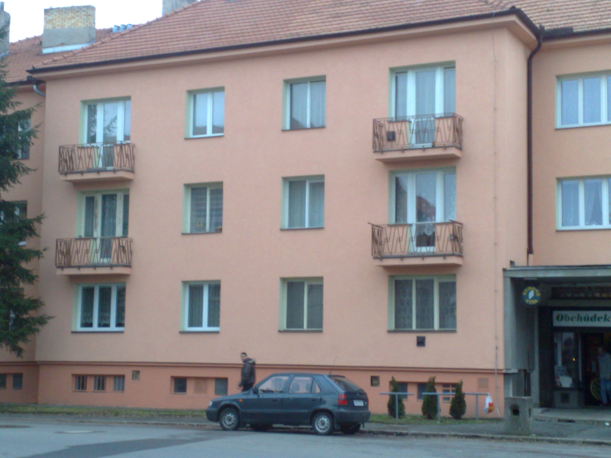 René Pelikán foto 2