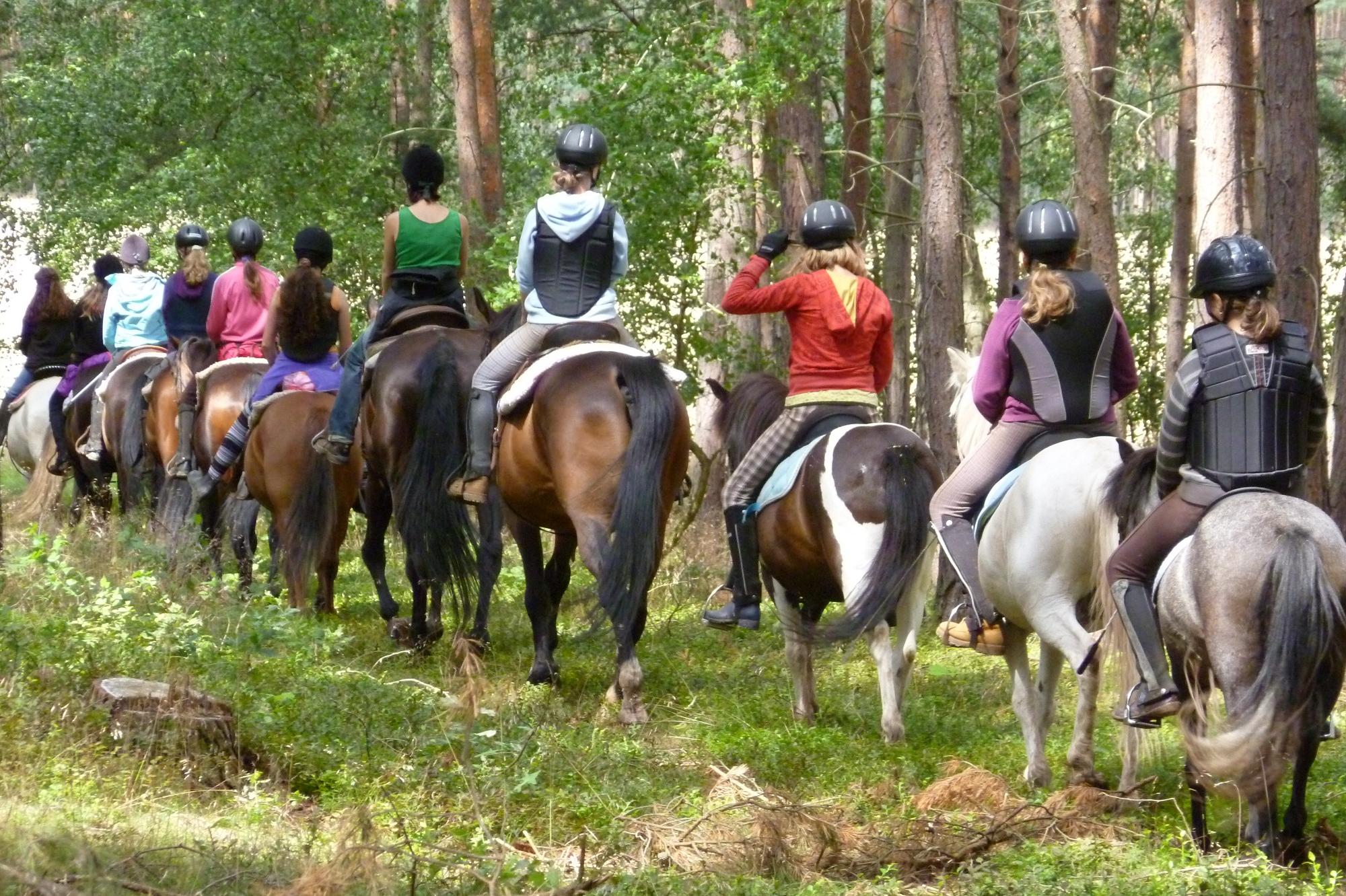 Partnerem koni, přítelem přírodě