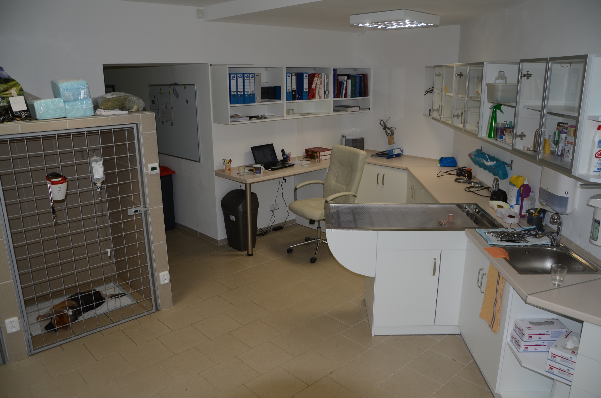 Veterinární klinika Veticea foto 6
