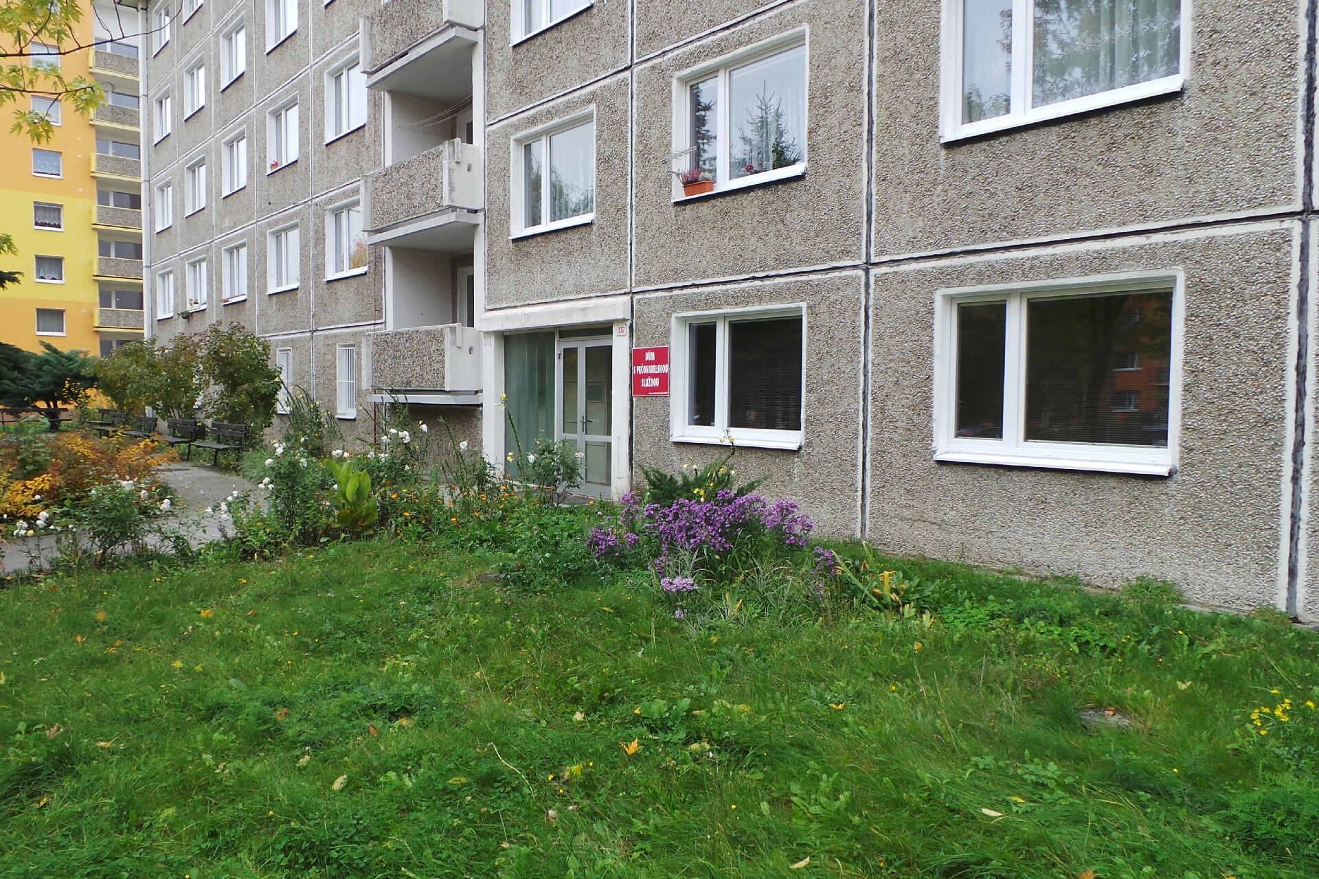 JUDr. Ivana Zamazalová