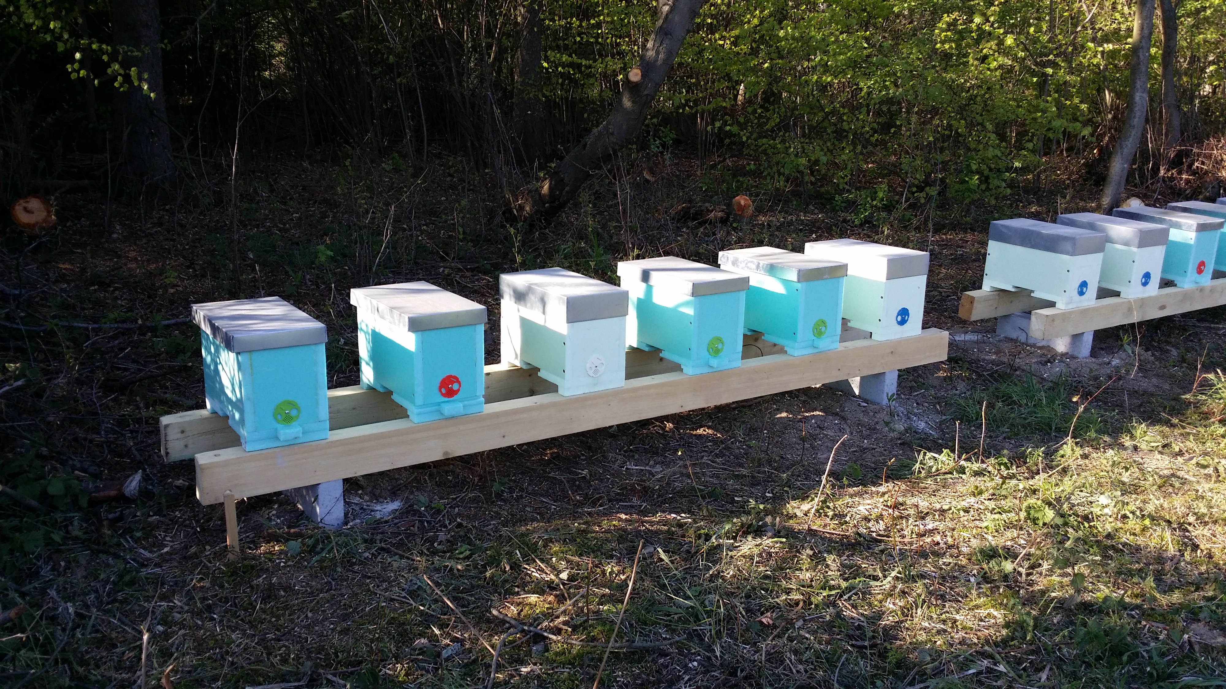 Včelařská farma Marián Krajíček foto 3