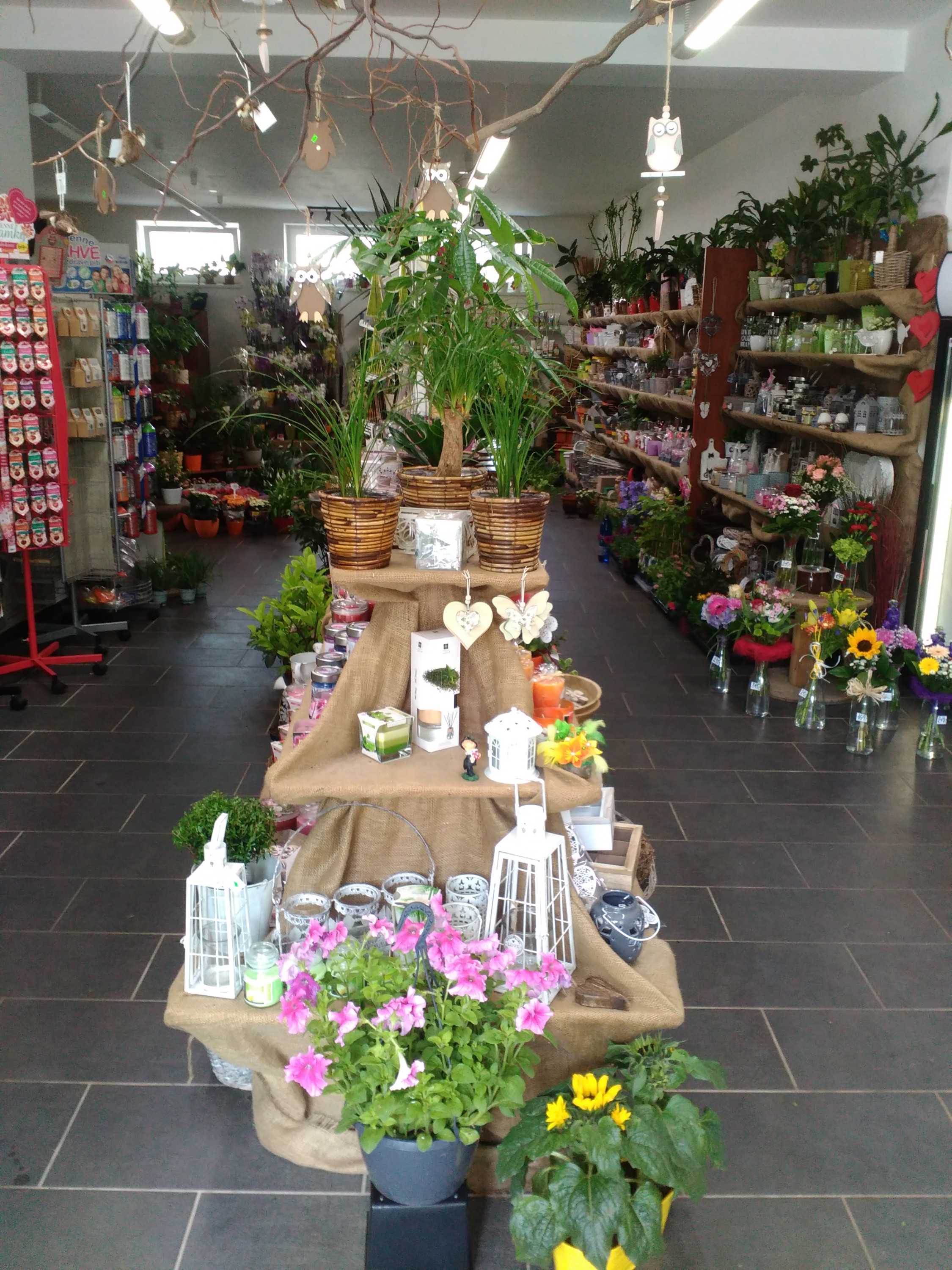 Kytičky U pošty foto 2