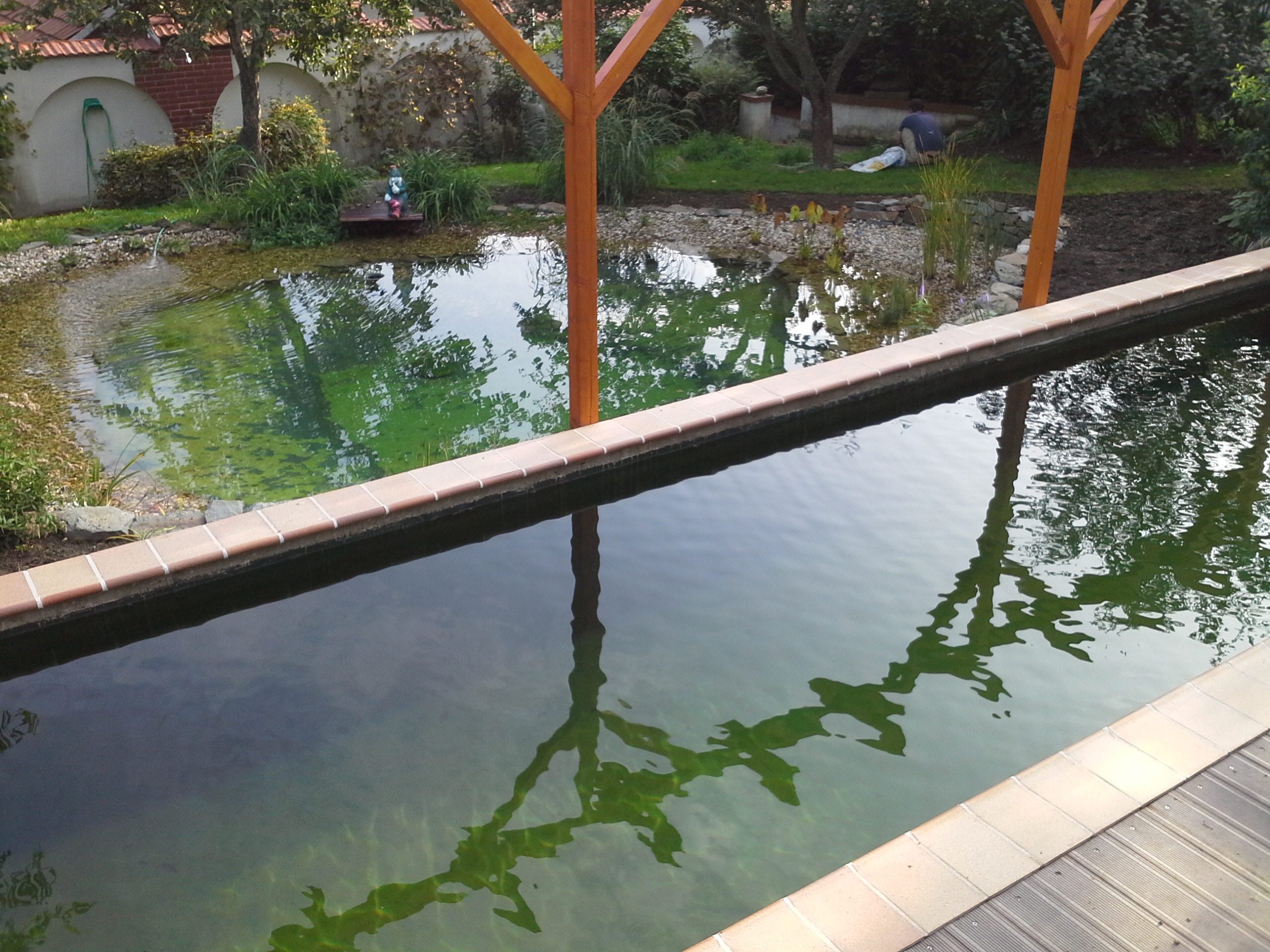 Barevné zahrady - Marek Víťazka foto 2