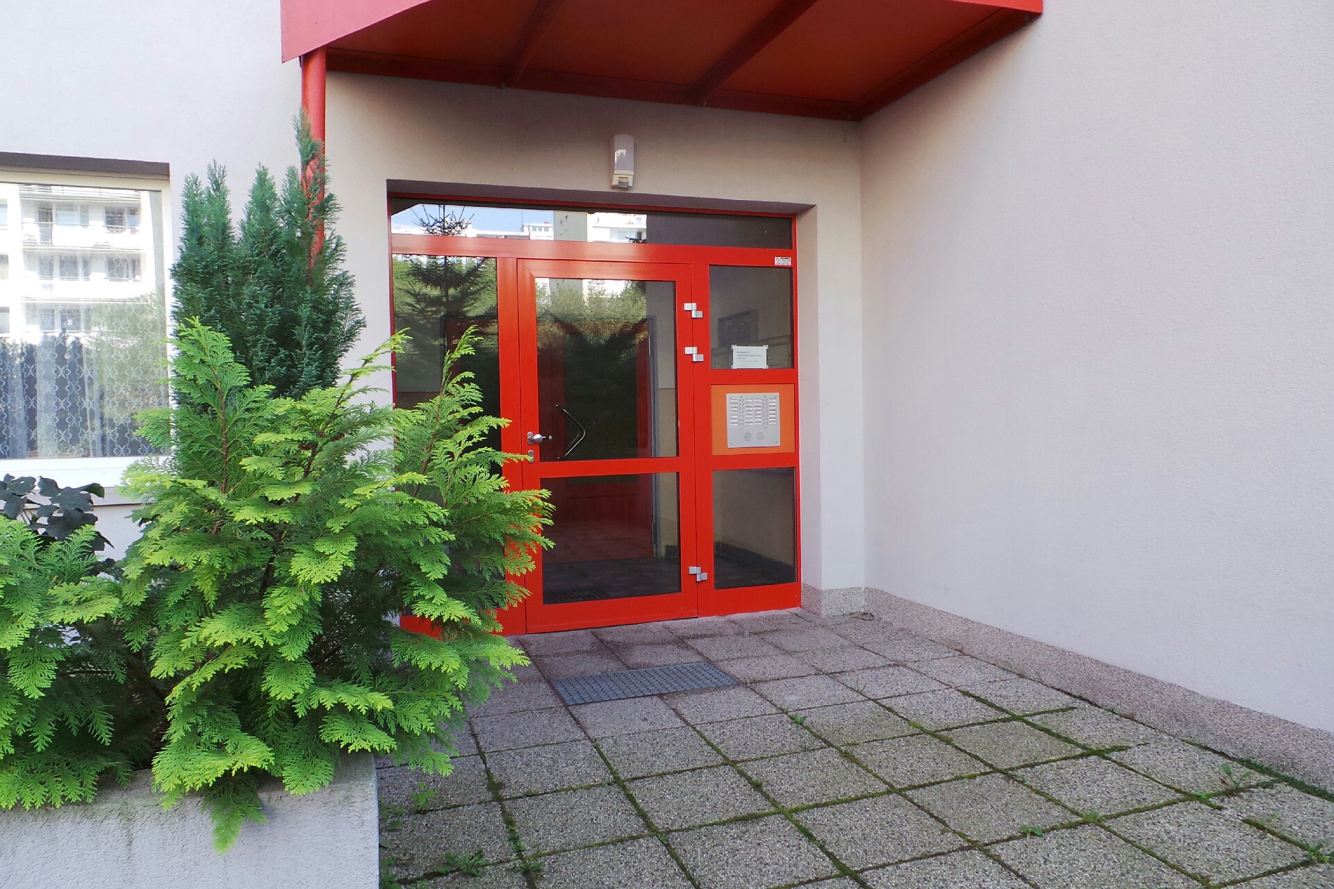 Petr Ptáček - Klinický psycholog