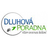 logo Dluhová poradna
