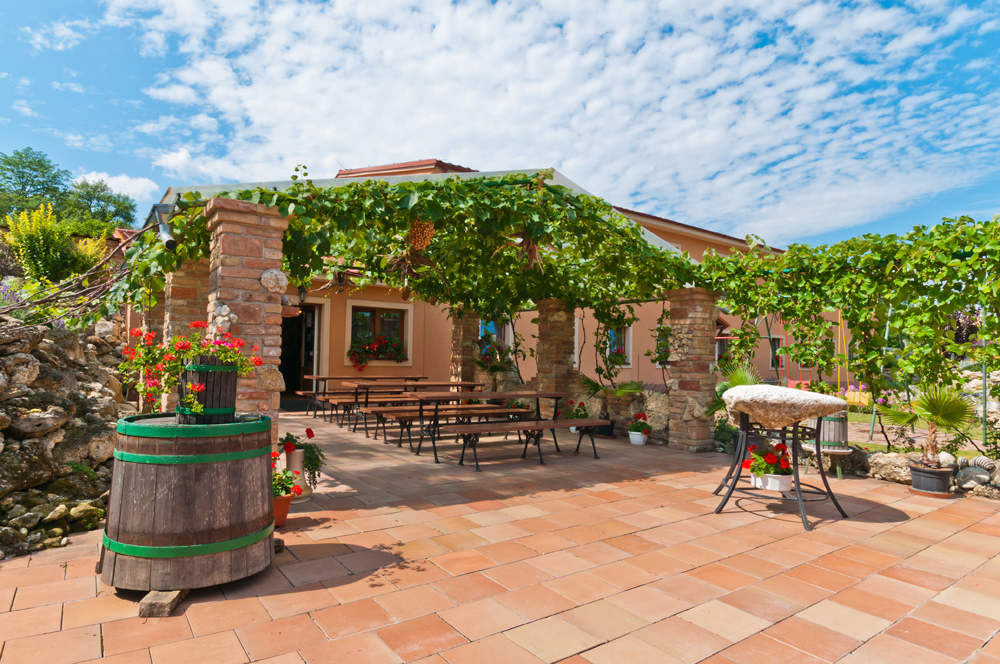 Penzion a vinný sklep Moravská oáza foto 2