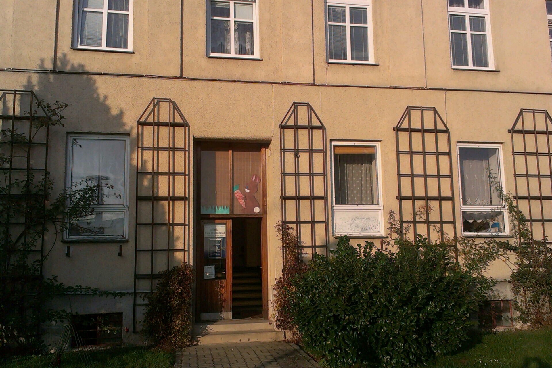 MUDr. Hana Všetečková