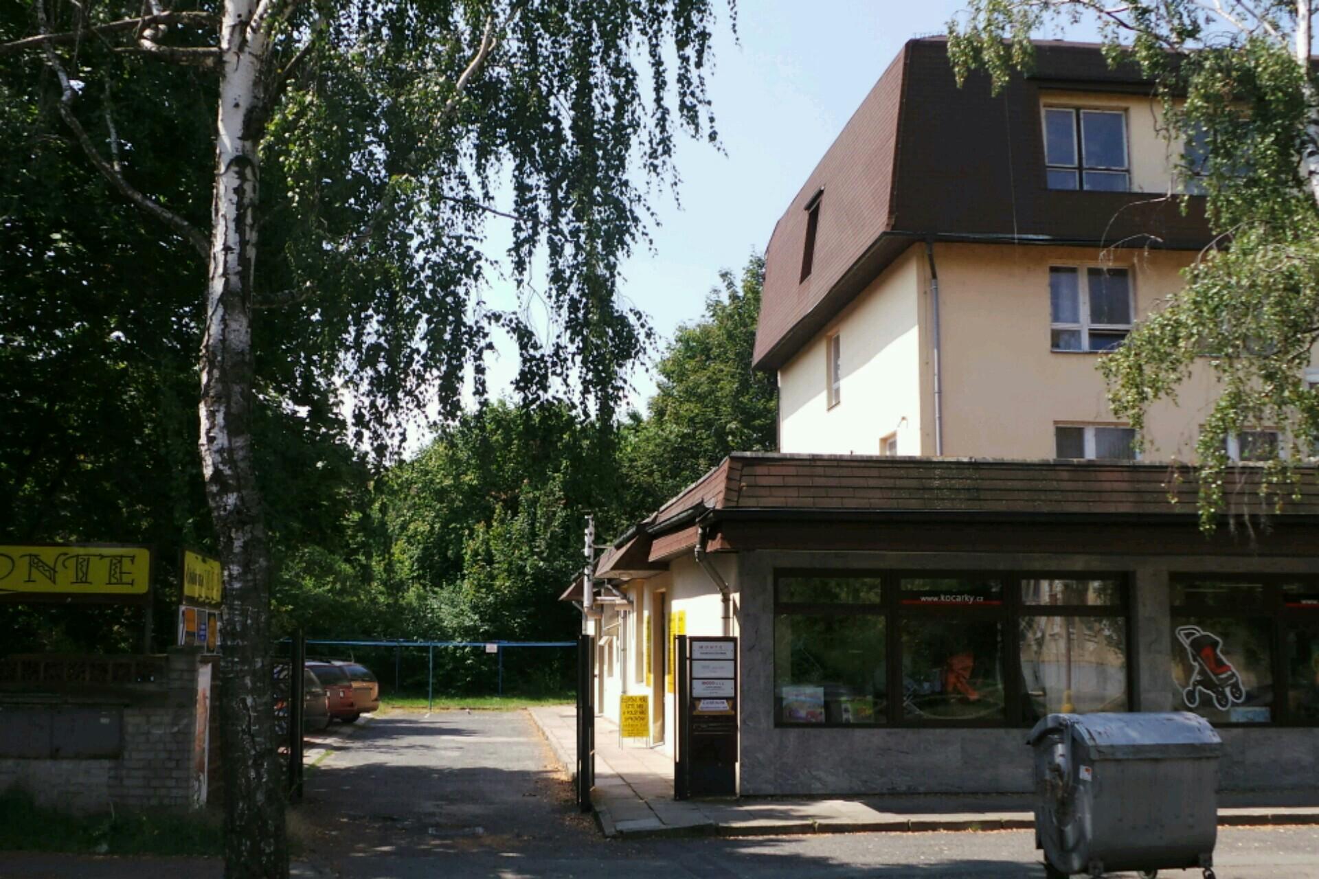 Účetní - Hana Novotná