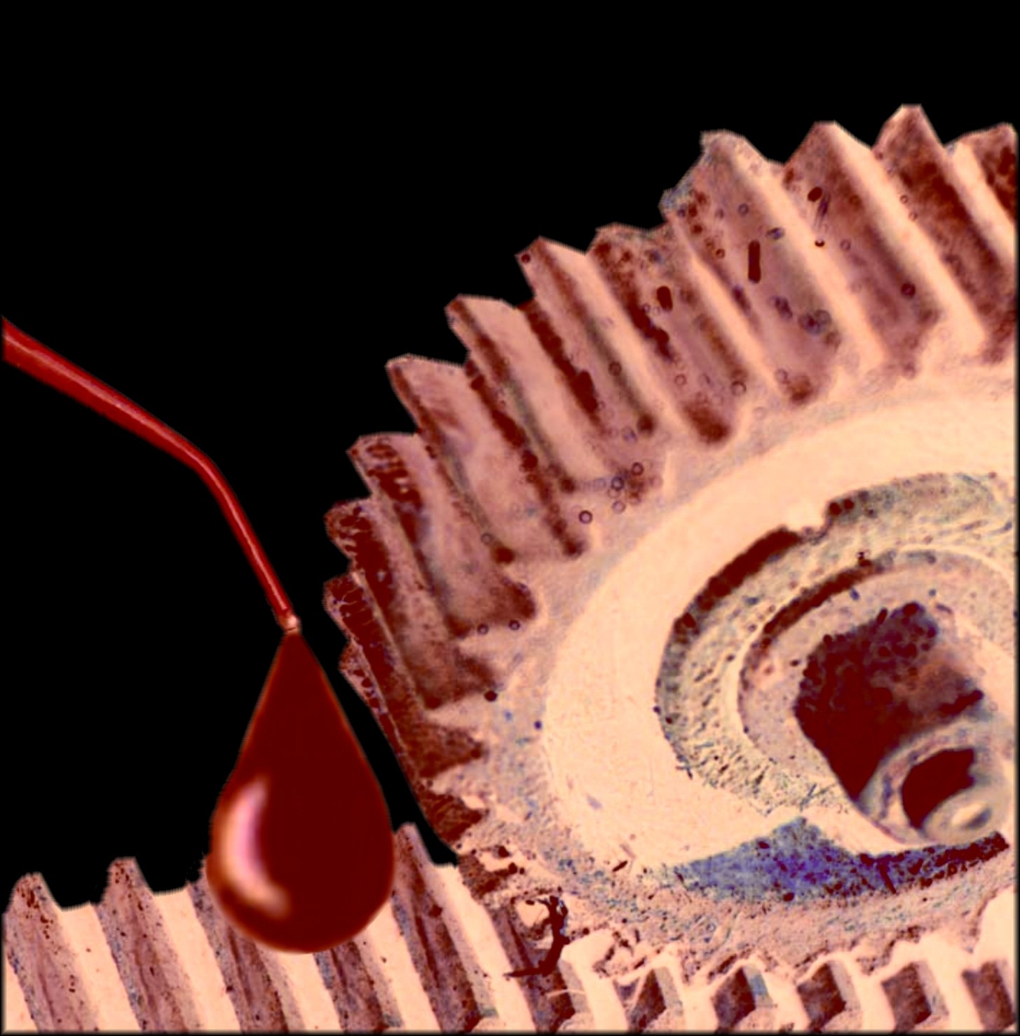 CEMA-TECH o.z. - HENNLICH s.r.o. foto 2