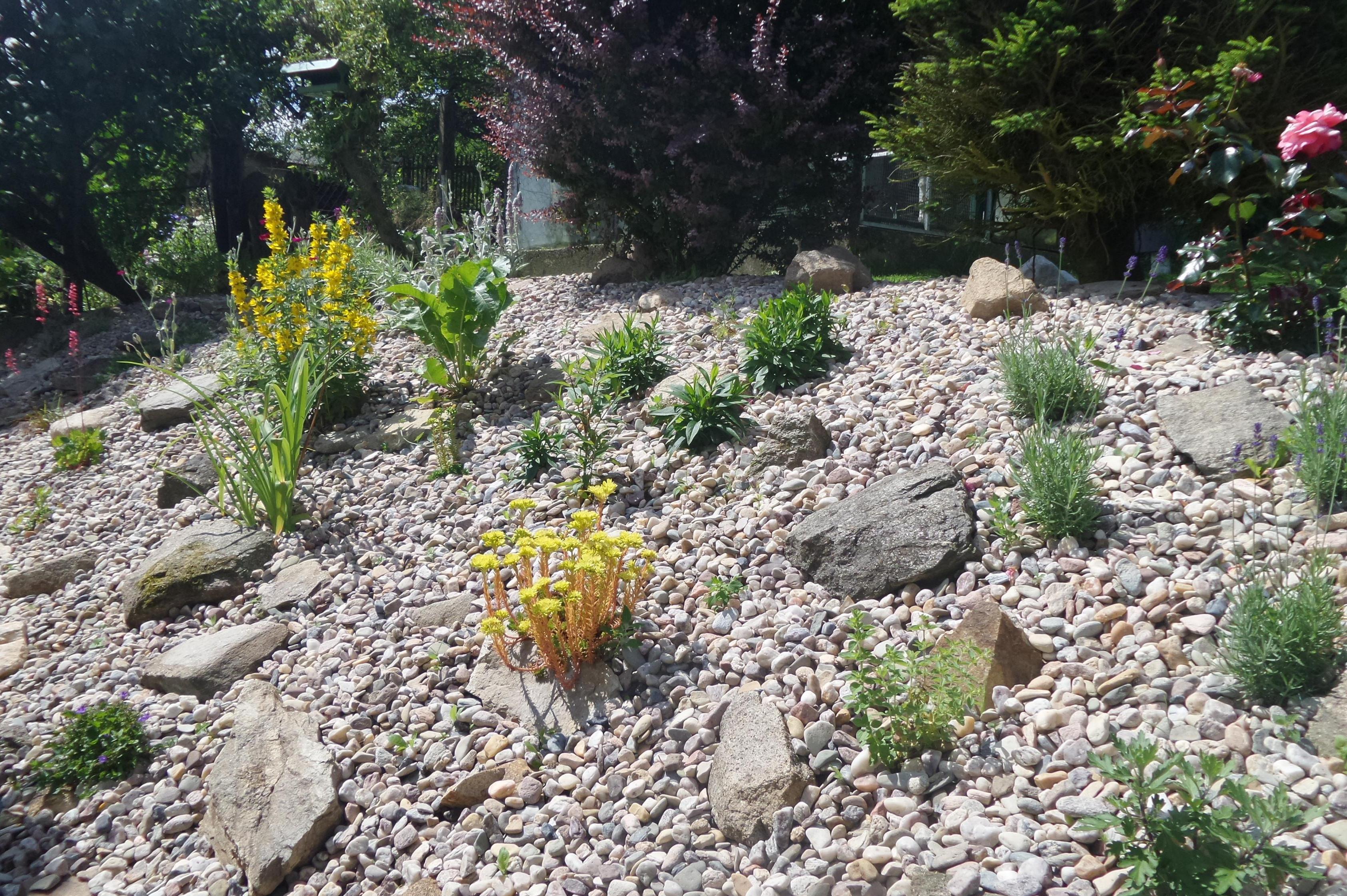 Zahradnictví Na Kocandě foto 2