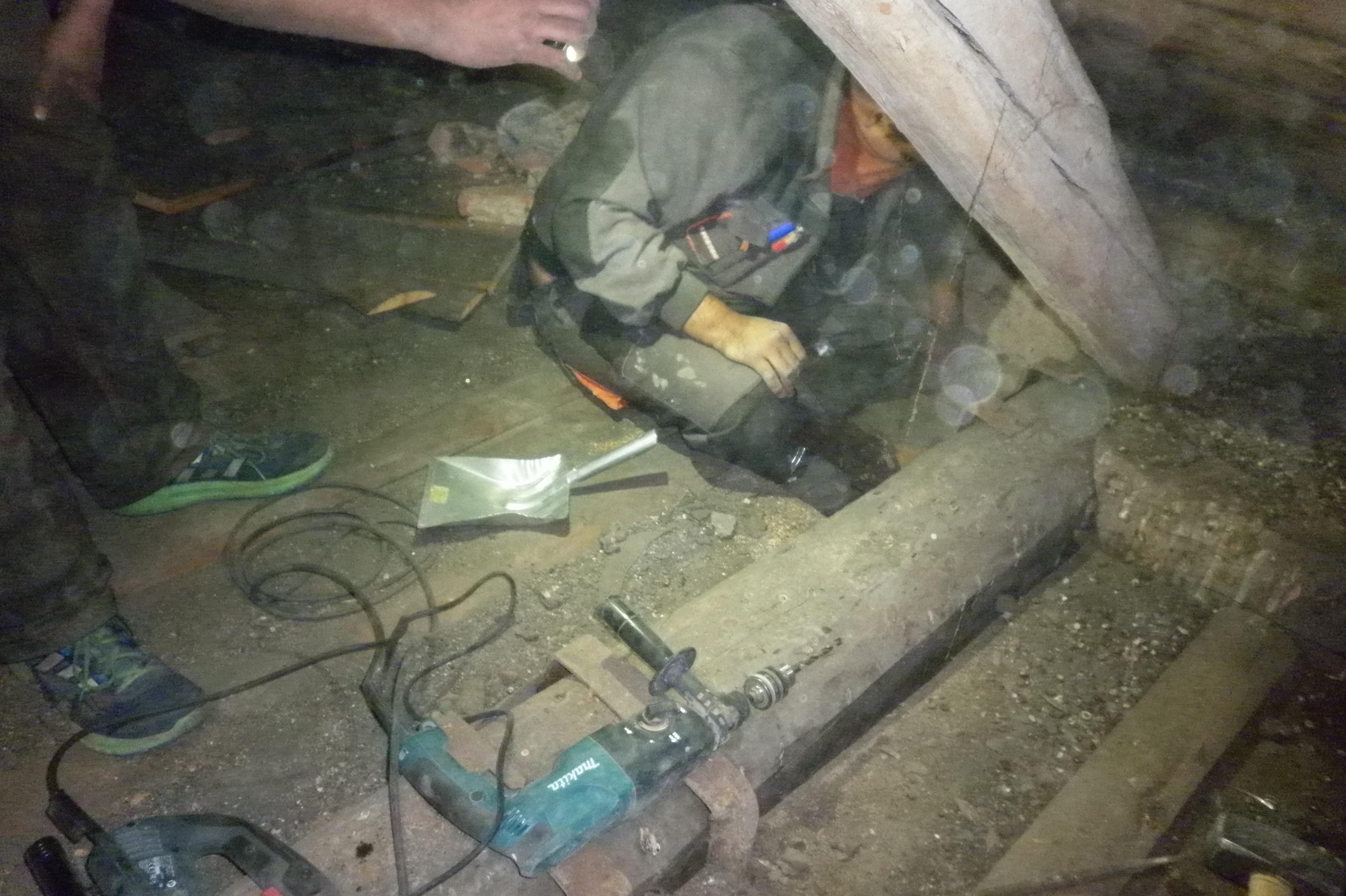 Stavební průzkum - Tomáš Jedelský