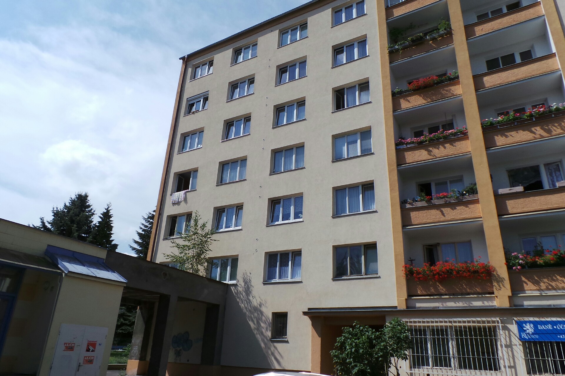 Společnost Hedviky Mukdenové