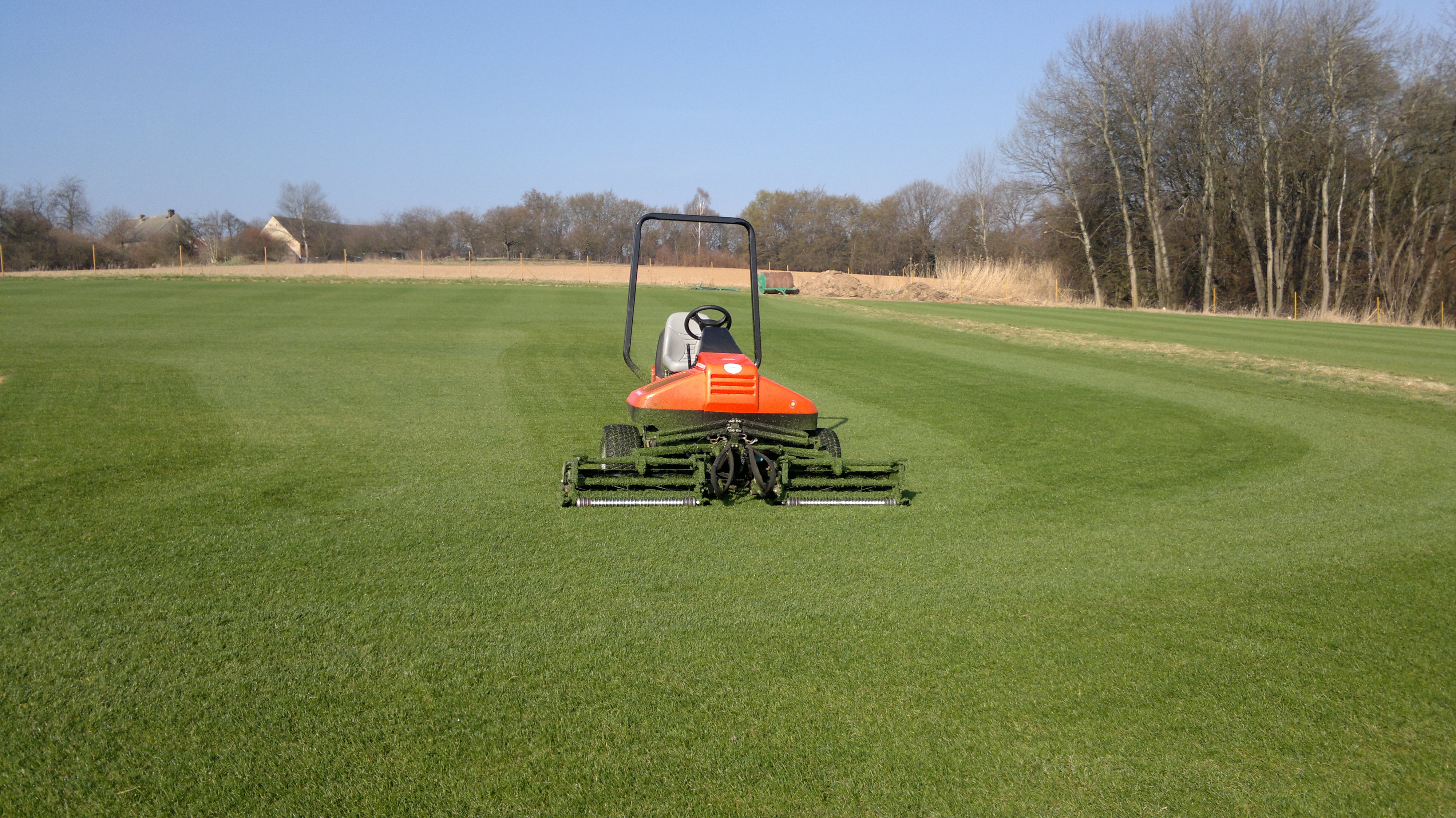 KMV - Travní a luční koberce foto 2