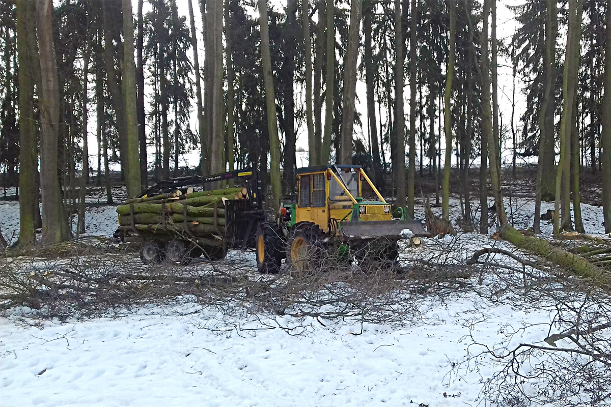 Martin Nosek těžba dřeva foto 2