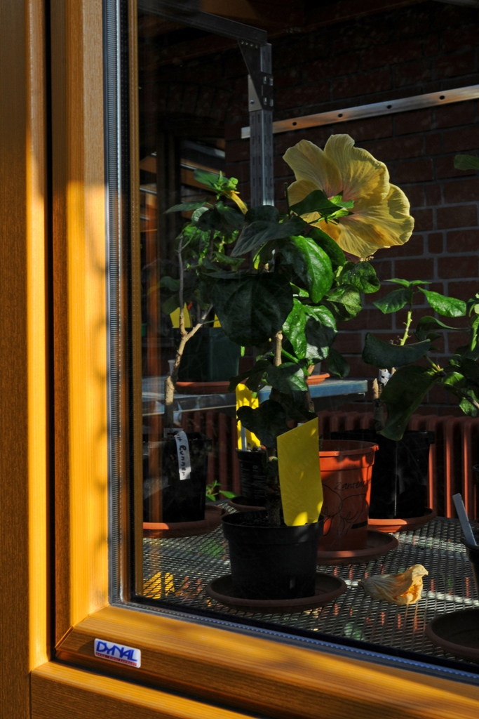 DYNAL okna - zimní zahrady foto 5