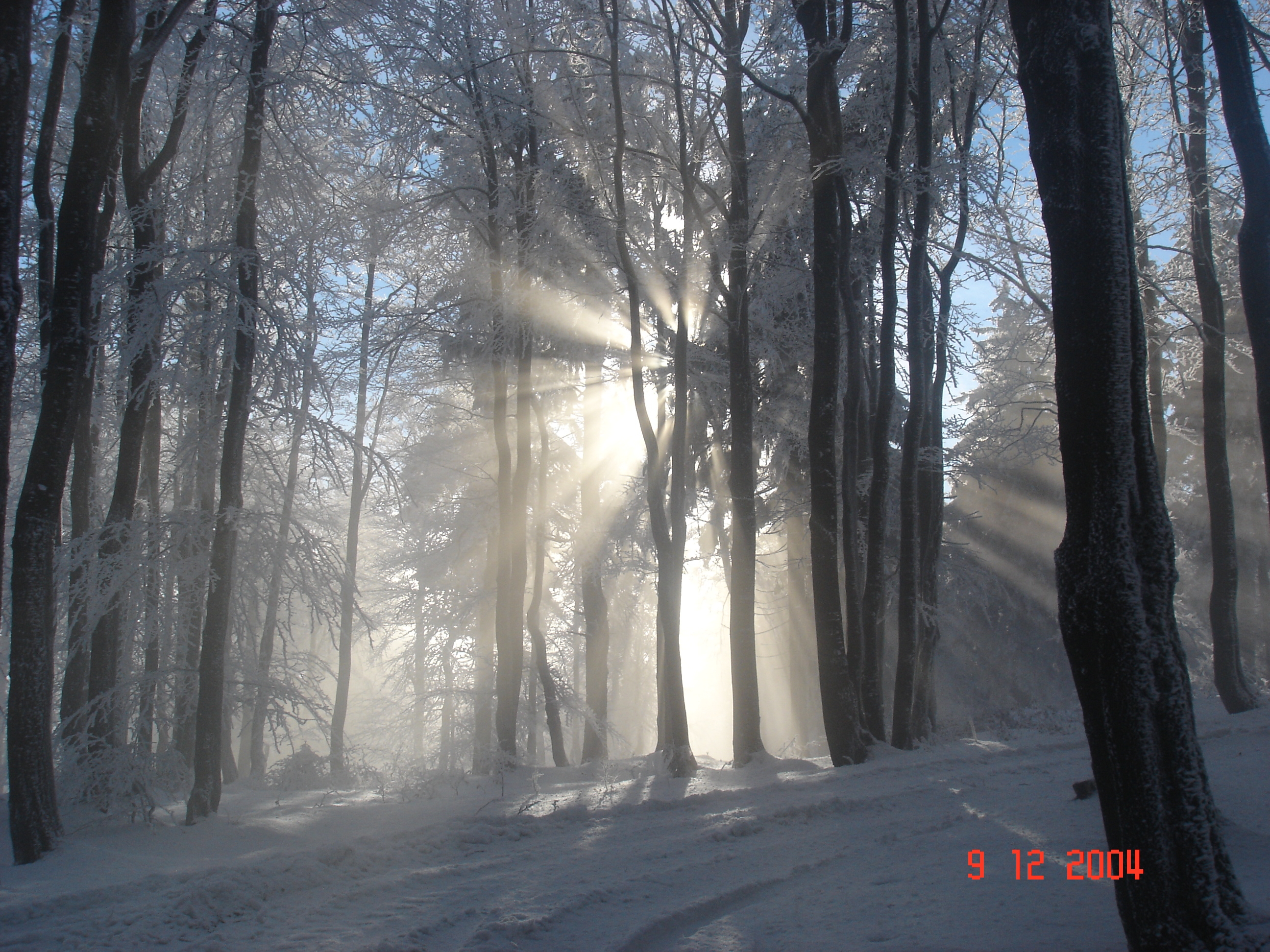 Horská chata MAGNET foto 5