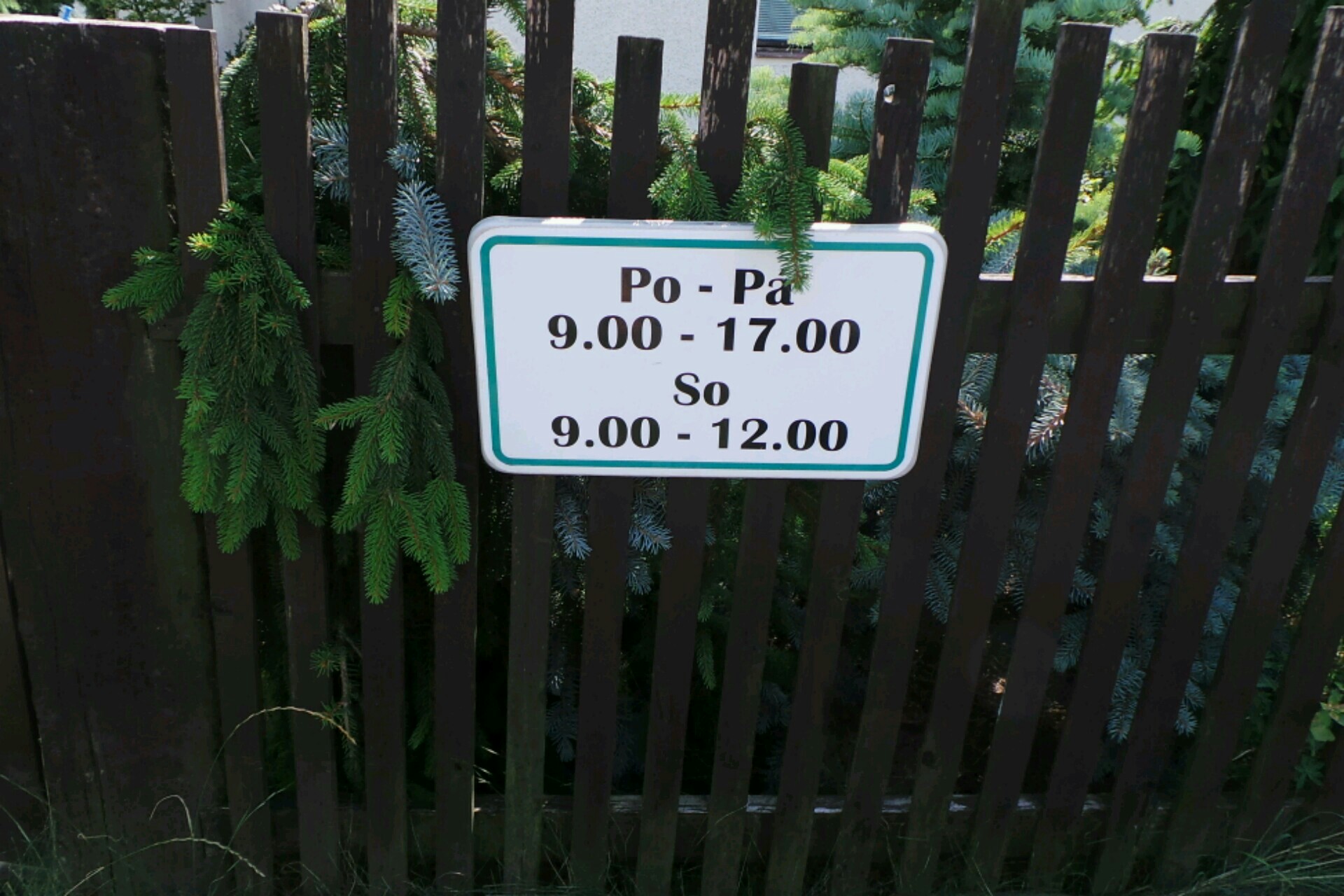 Jitka Doležalová foto 3