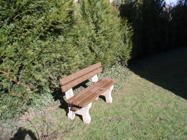 Tomáš Dvořák foto 3