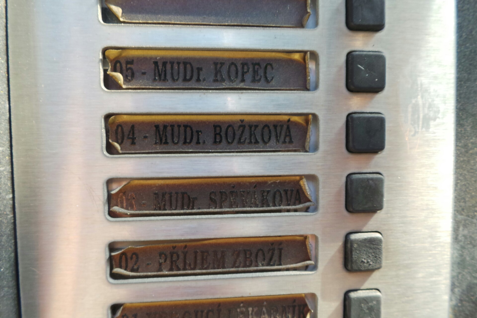 MUDr. Jarmila Božková foto 2