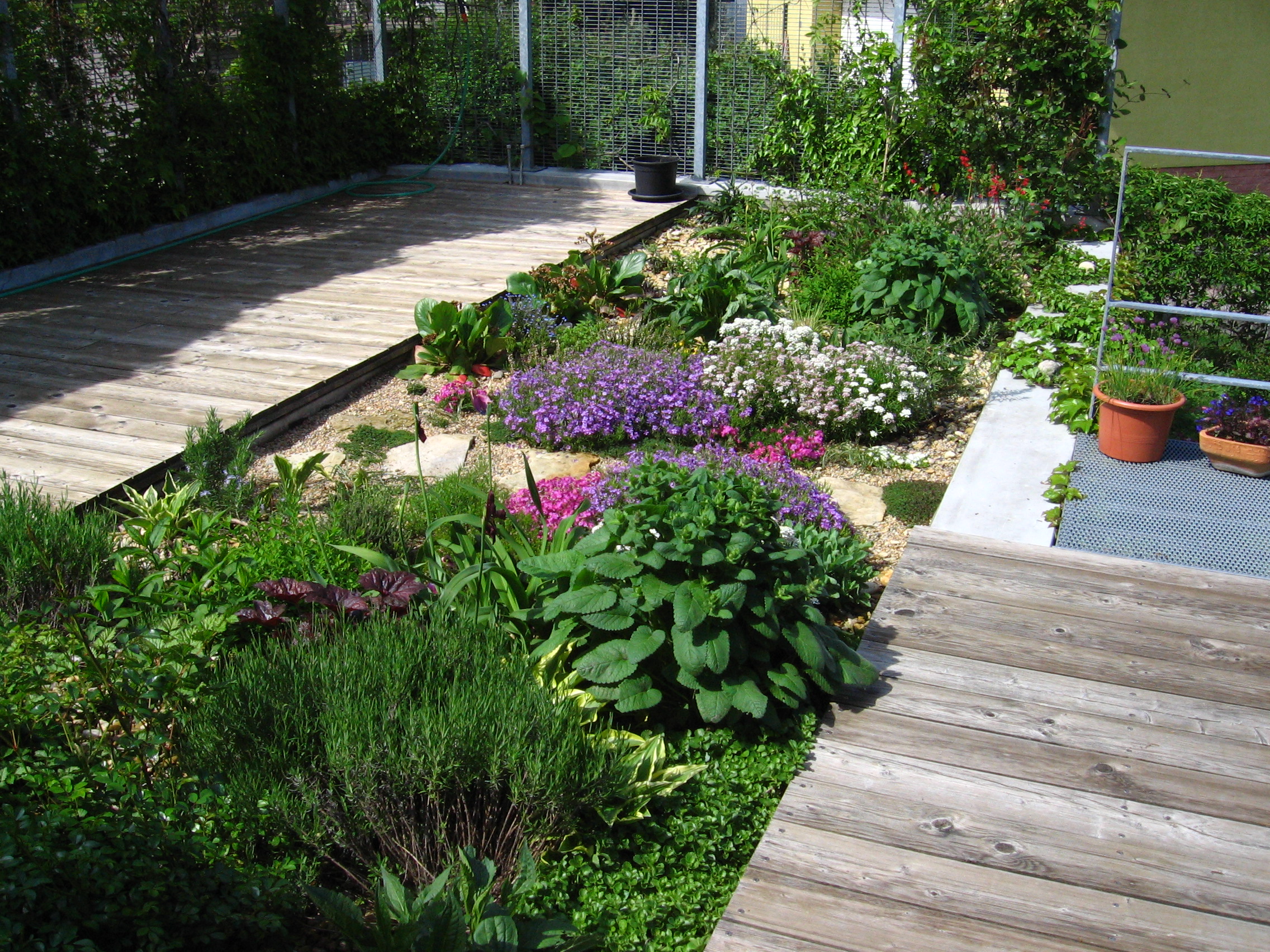 VK zahrady - Ing. Vendula Křoustková foto 2