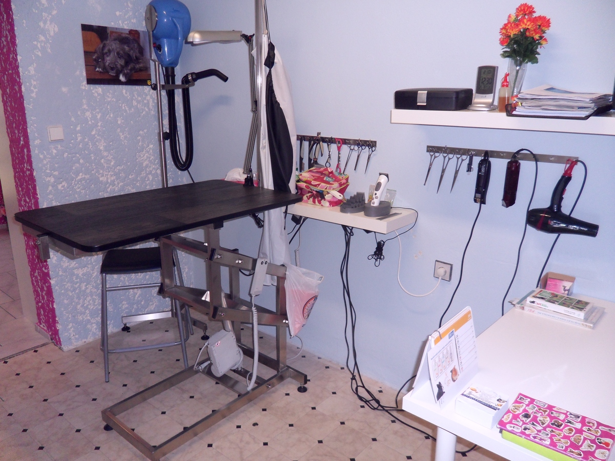 Salon Psí Sen foto 3