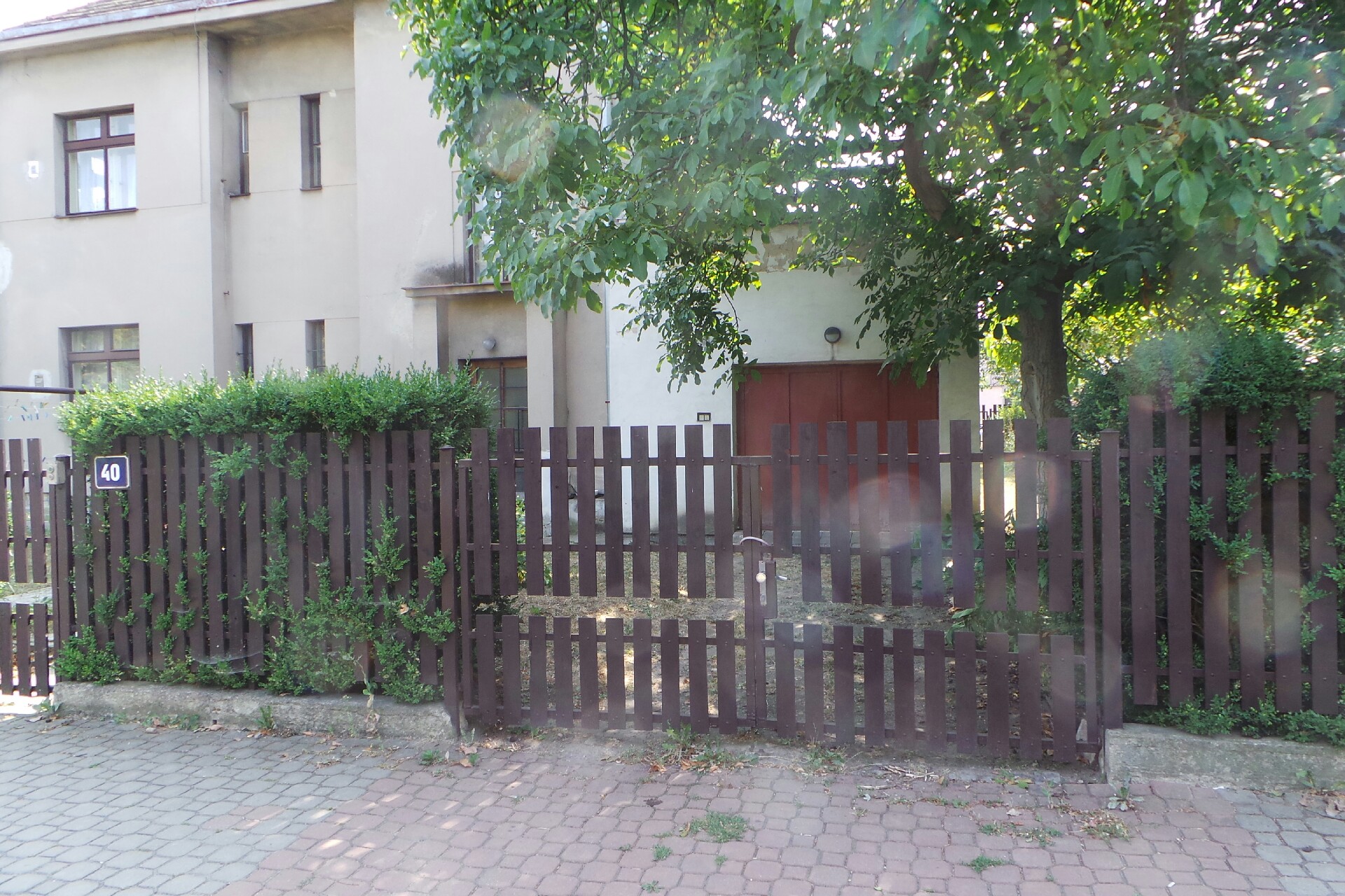 RNDr. Martina Čefelínová, CSc.