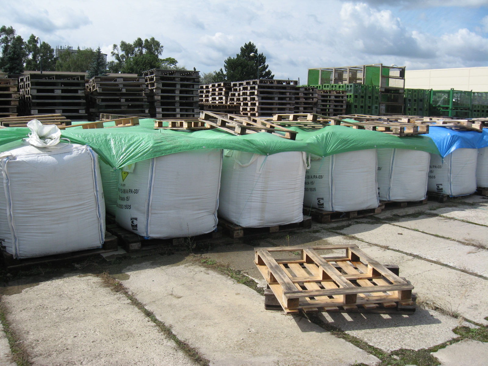 Věra Kesidisová - KESO foto 4