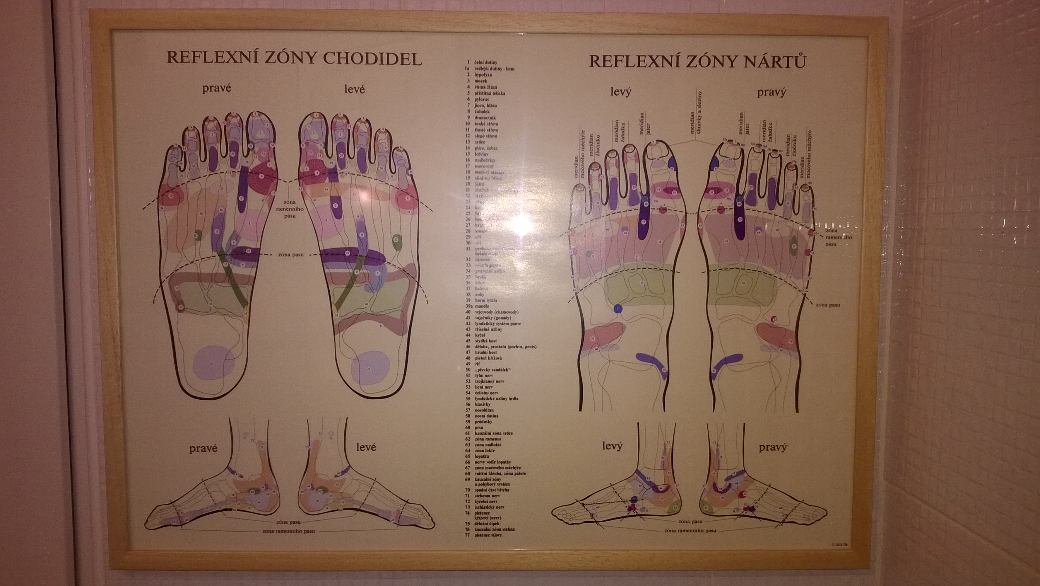 Zuzana Pavlíková - masáže foto 3