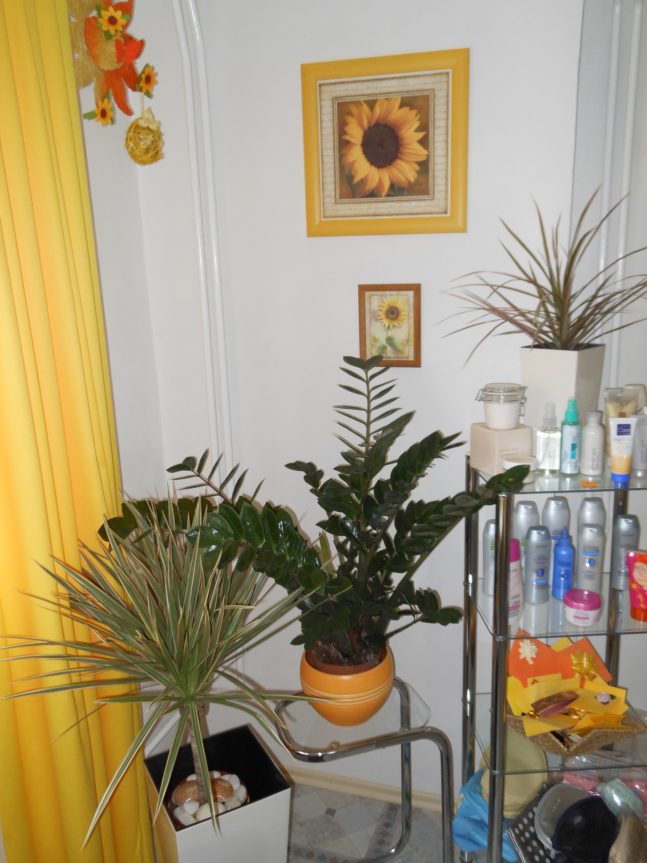 Kosmetický salón Nicoll - Lenka Hotařová foto 2