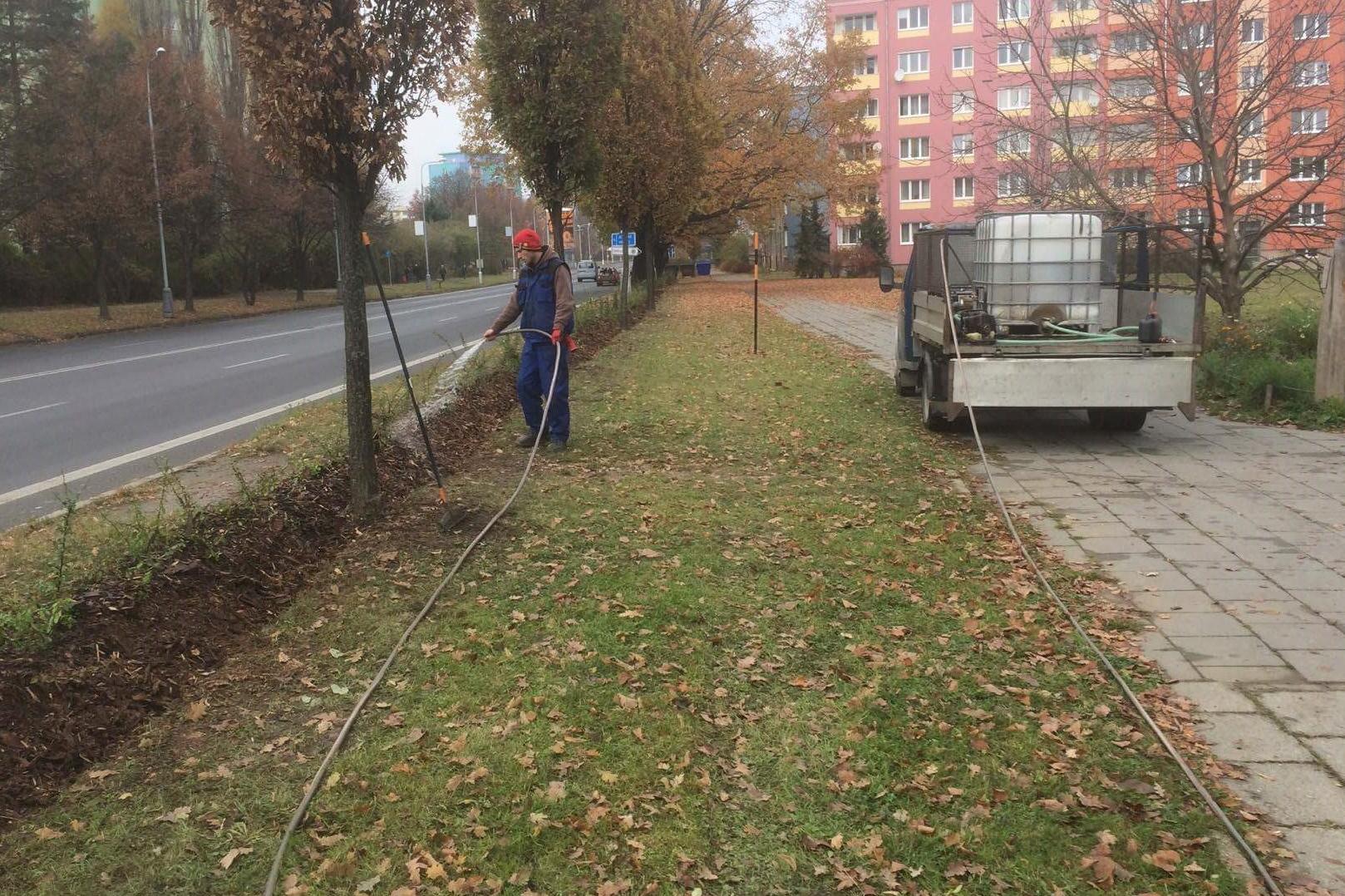 Green bond s.r.o. foto 1