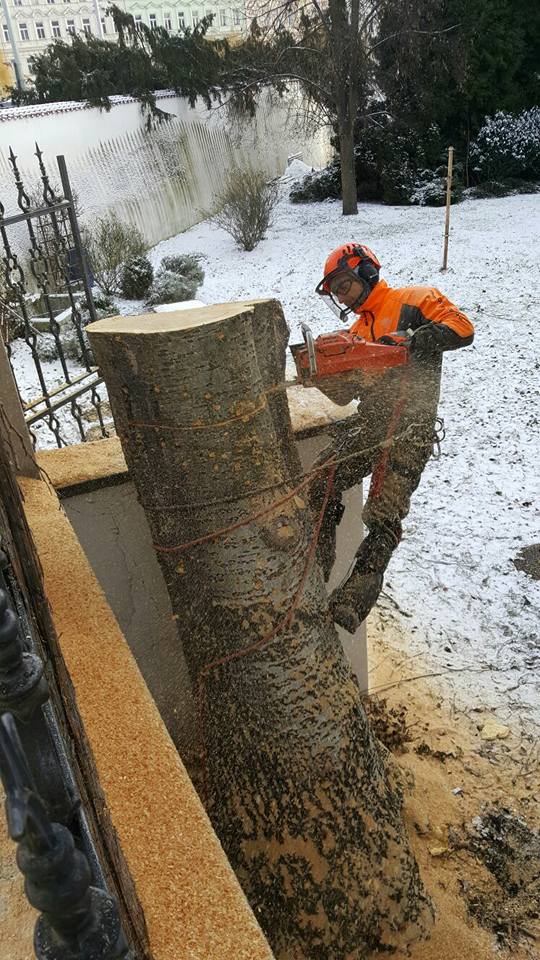 Lukáš Konopiský - Rikastr.cz foto 2