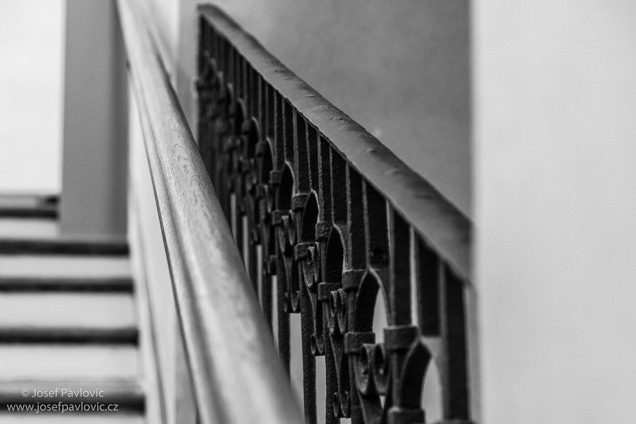 Josef Pavlovic - fotograf foto 4