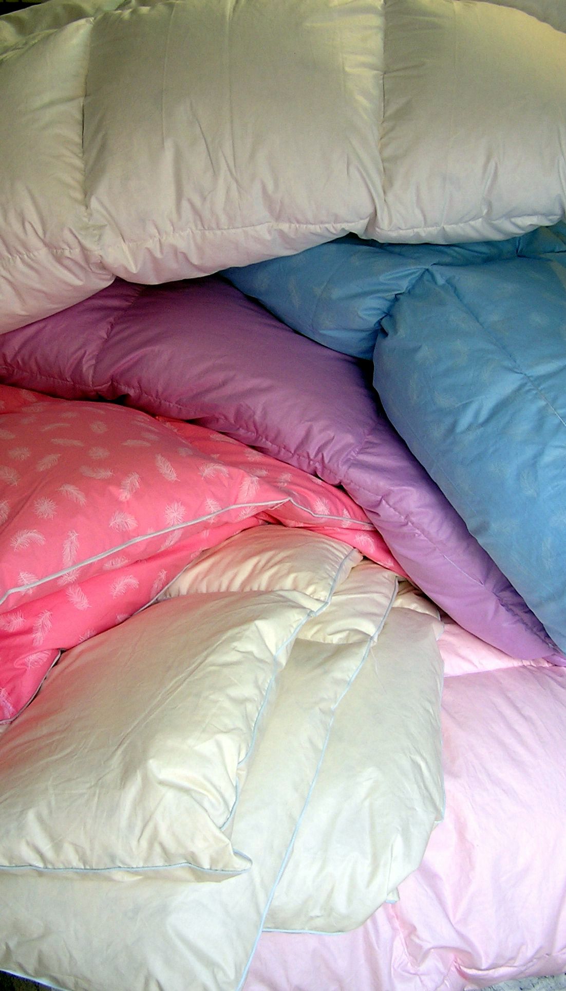 Čistírna peří - Milan Flegr foto 2