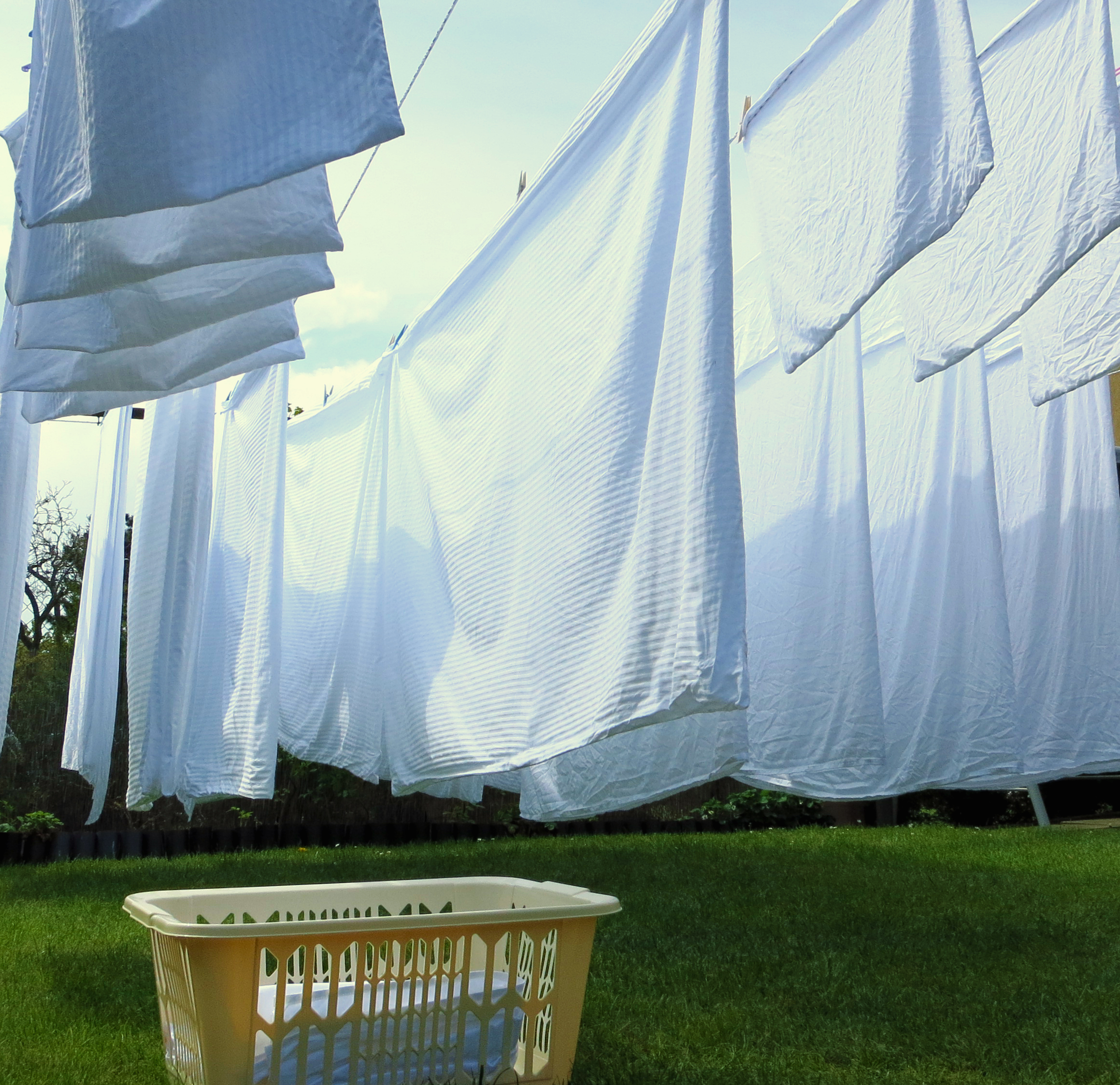 Lenka Zukalová - Prádelna, žehlení foto 2